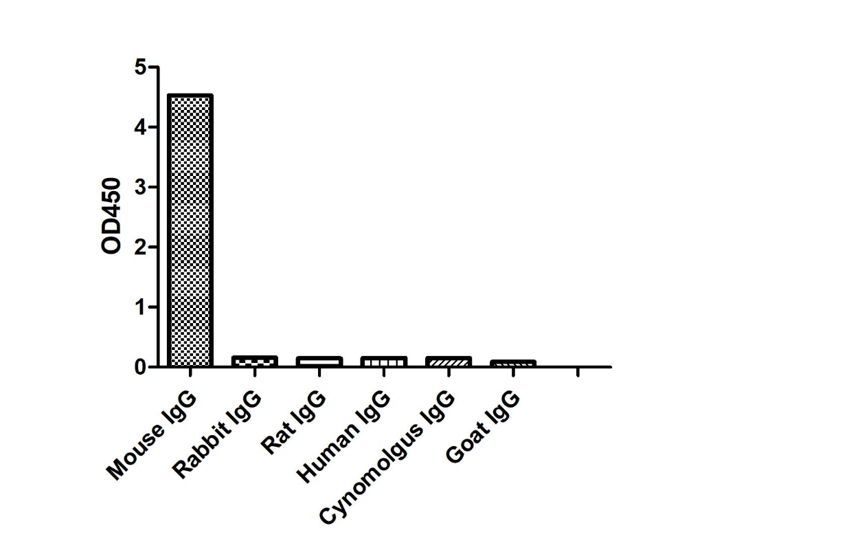 ELISA of specificity for different species of IgG-Anti-Mouse IgG kappa, AlpSdAbs® VHH  

