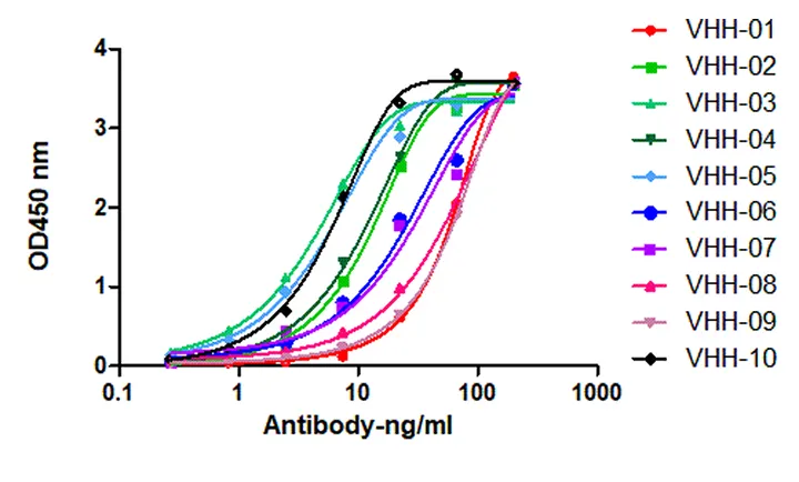High affinity for different VHH