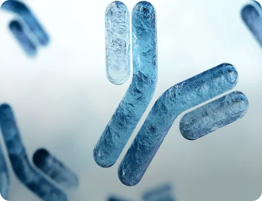 DYKDDDDK tag Nanoselector- No light and heavy chain interference in IP experiment