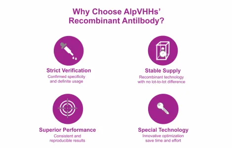 Anti-His tag, AlpSdAbs® VHH(HRP)