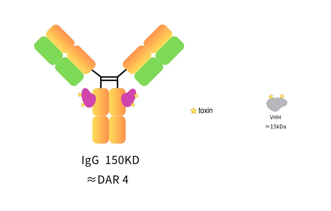 Anti-Human IgG Fc, AlpSdAbs® VHH(VcMMAF ×4)