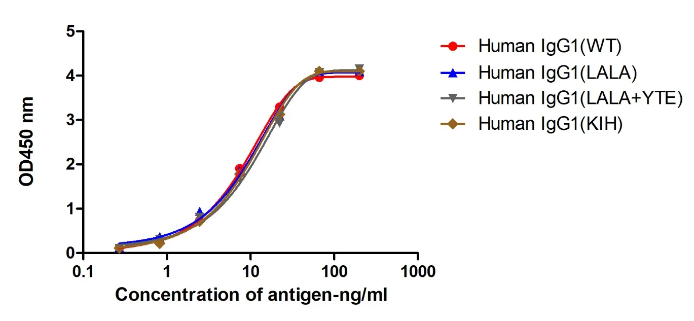Anti-Human IgG Fc, AlpSdAbs® VHH(VcMMAE ×4)