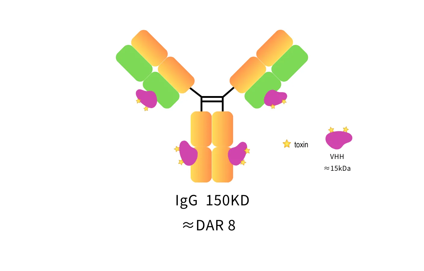 Anti-Mouse IgG, AlpSdAbs® VHH(VcMMAE ×8)