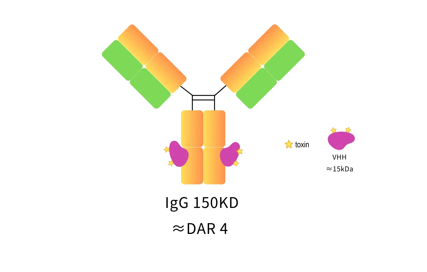 Anti-Mouse IgG Fc, AlpSdAbs® VHH(GGFG-DXD ×4)