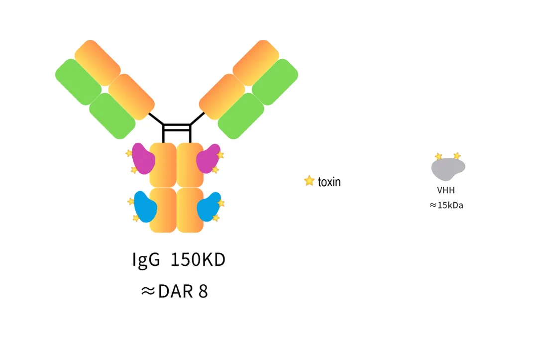 Anti-Human IgG Fc, AlpSdAbs® VHH(VcMMAE ×8)