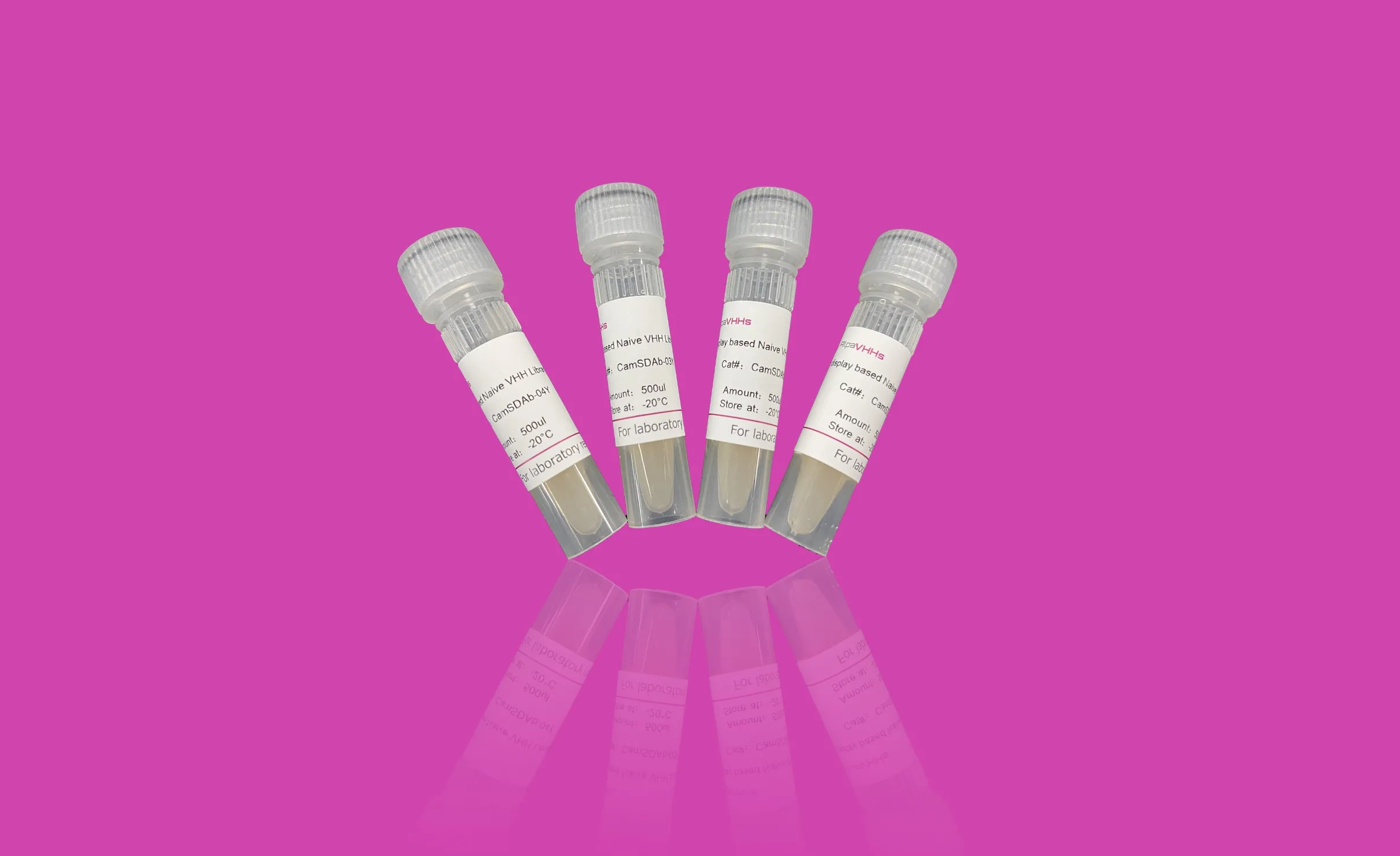 Yeast dispaly based Naïve VHH Library from Camel