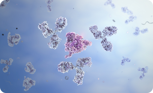 Yeast Display Technology Platform