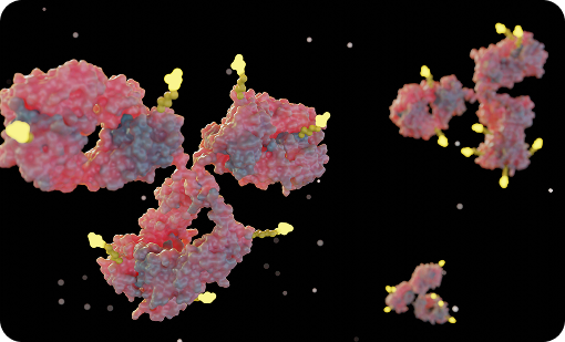 Phage Display Technology Platform