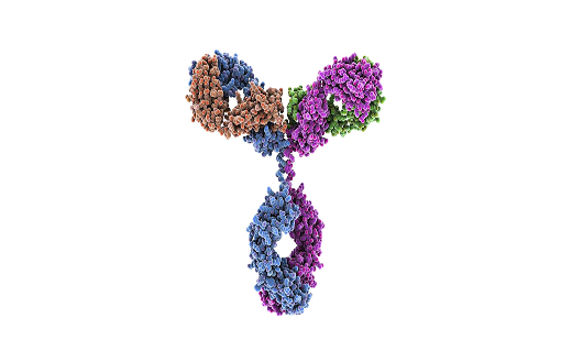 Protein Expression Platform