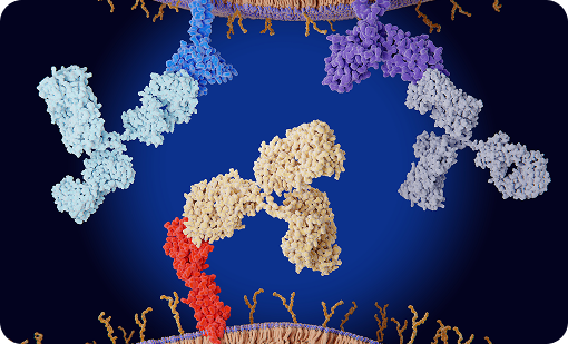 Nano Antibody Labeling Platform