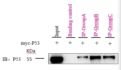 Myc tag Nanoselector Magnetic beads
