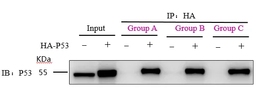 HA tag Nanoselector Magnetic beads