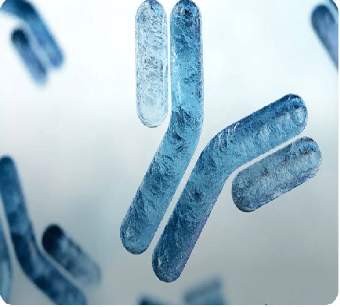 DYKDDDDK tag Nanoselector- No light and heavy chain interference in IP experiment