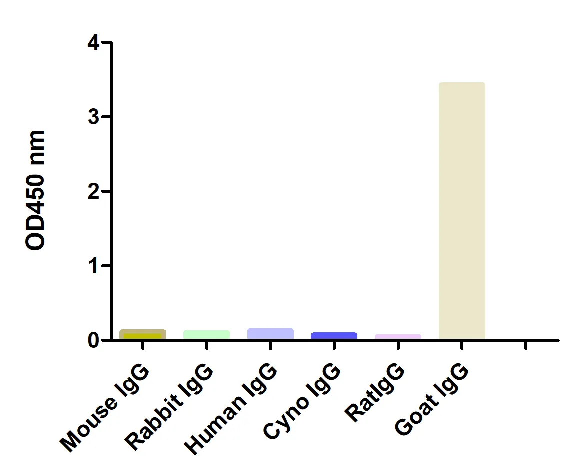 Anti-Goat IgG(H+L), AlpSdAbs® VHH(HRP)