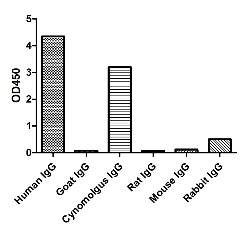 Anti-Human IgG(Fcγ fragment specific), AlpSdAbs® VHH(Biotin)