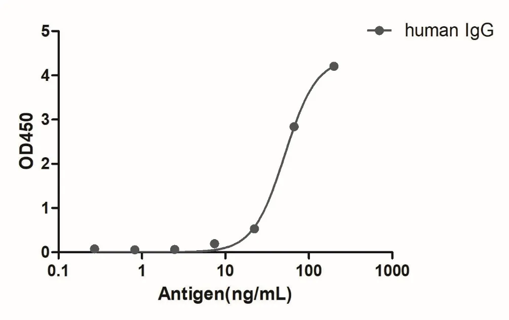 Anti-Human IgG(Fcγ fragment specific), AlpSdAbs® VHH(Biotin)