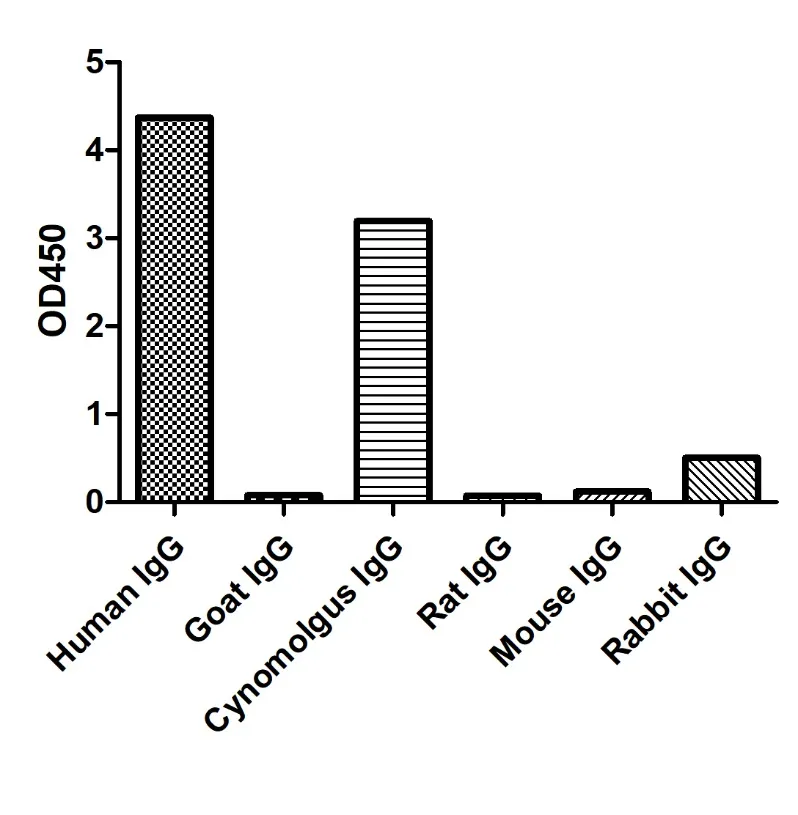 Anti-Human IgG(Fcγ fragment specific), AlpSdAbs® VHH(HRP)
