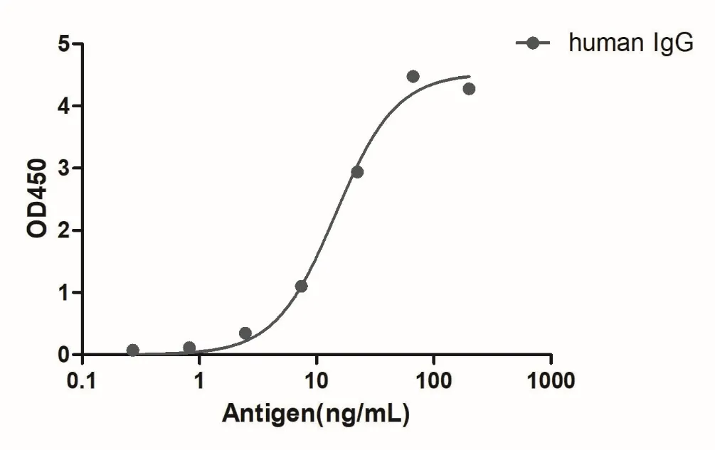Anti-Human IgG(Fcγ fragment specific), AlpSdAbs® VHH(HRP)