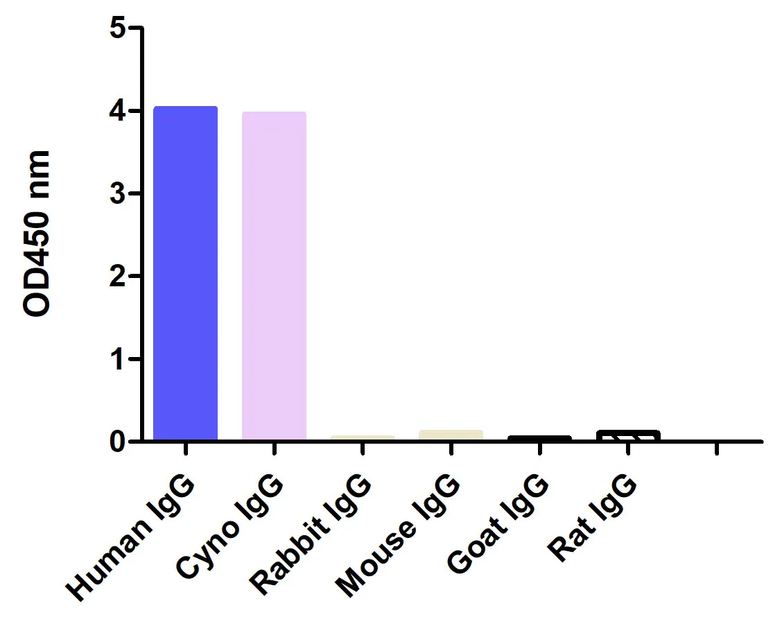 Anti-Human IgG(CH1 Fragment specific), AlpSdAbs® VHH(HRP)