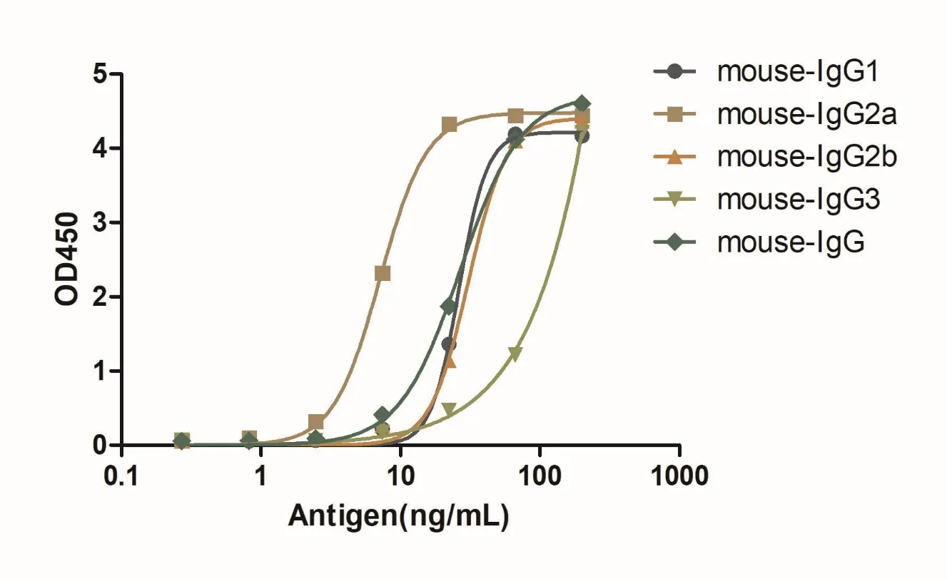 Anti-Mouse IgG(Fcγ Fragment specific), AlpSdAbs® VHH(Biotin)