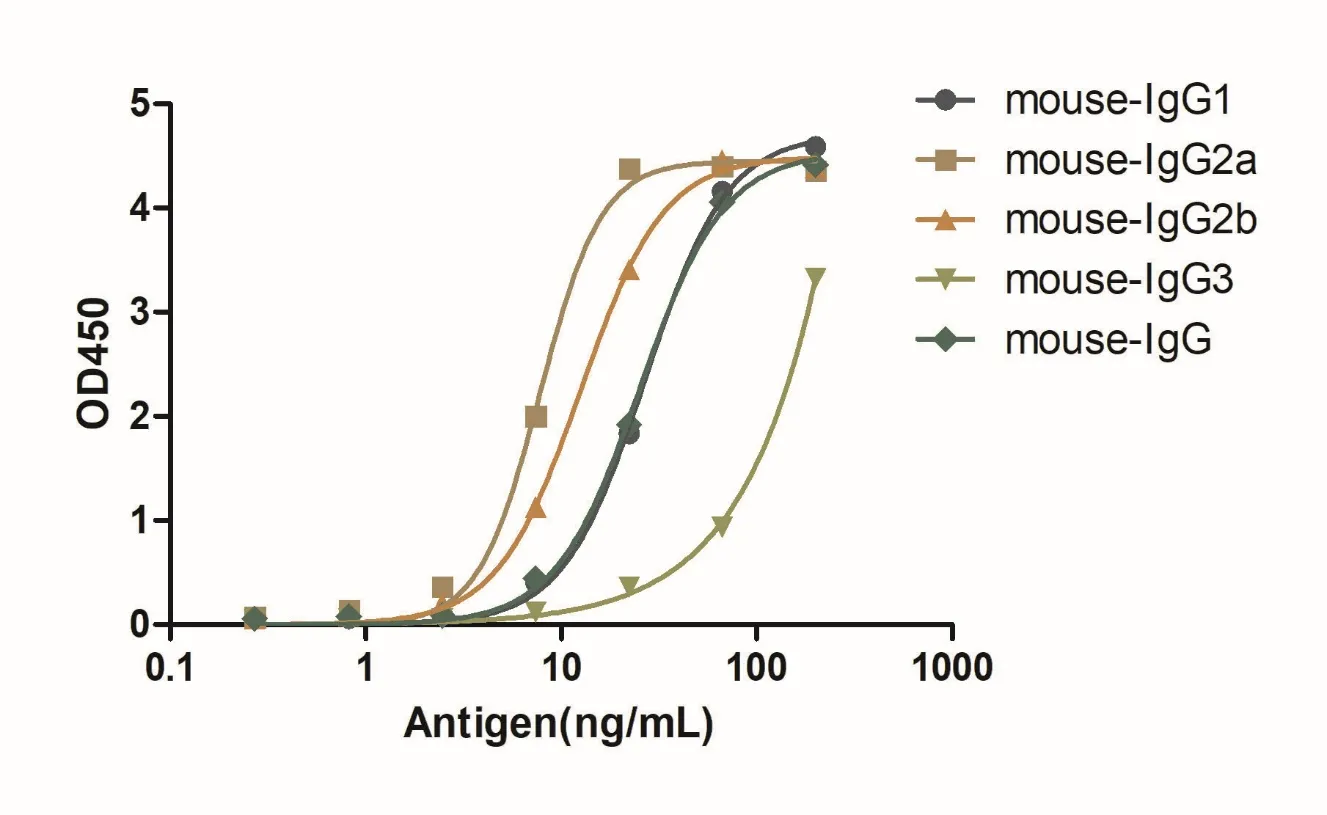 Anti-Mouse IgG(Fcγ Fragment specific), AlpSdAbs® VHH(HRP)