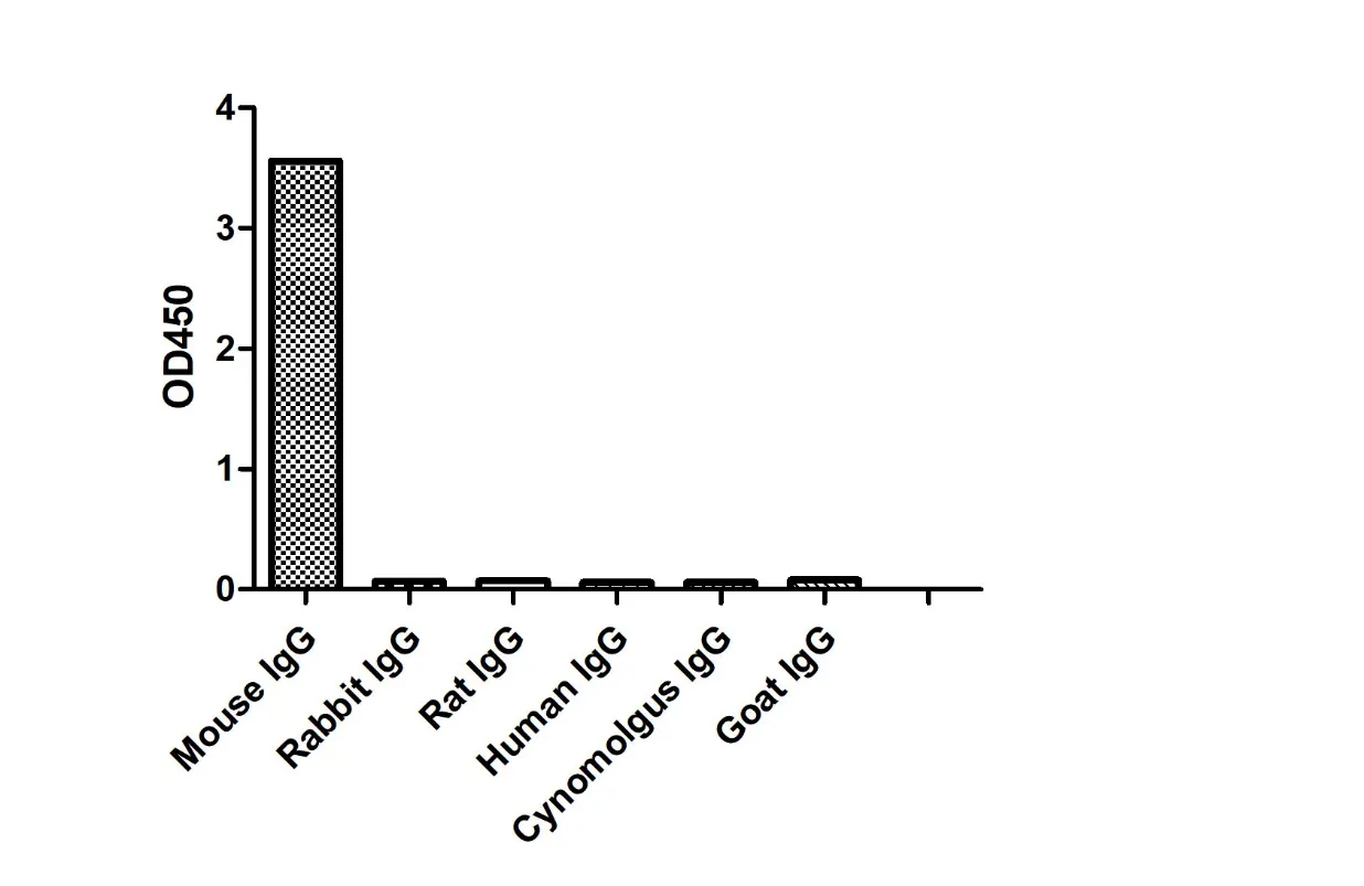 Anti-Mouse IgG2a(Fcγ Fragment specific), AlpSdAbs® VHH(Biotin)