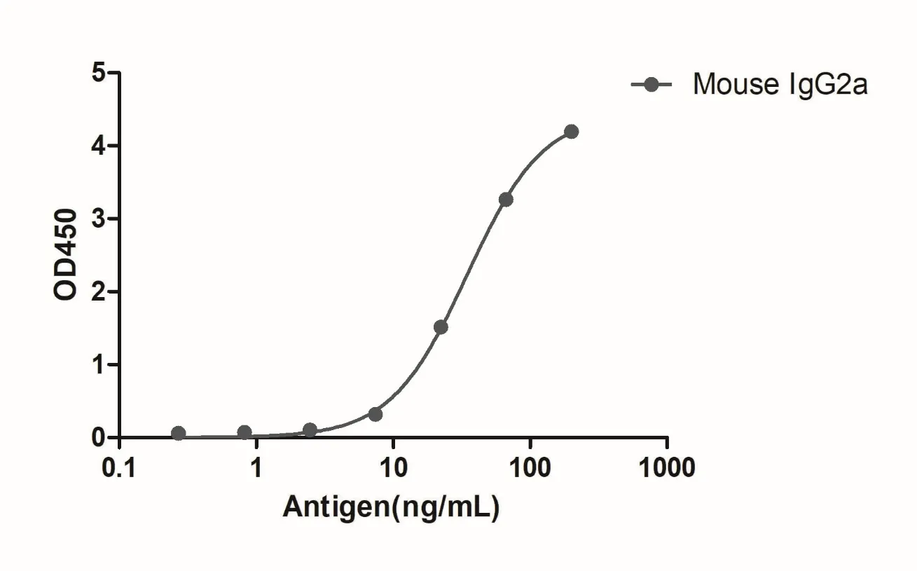 Anti-Mouse IgG2a(Fcγ Fragment specific), AlpSdAbs® VHH(Biotin)
