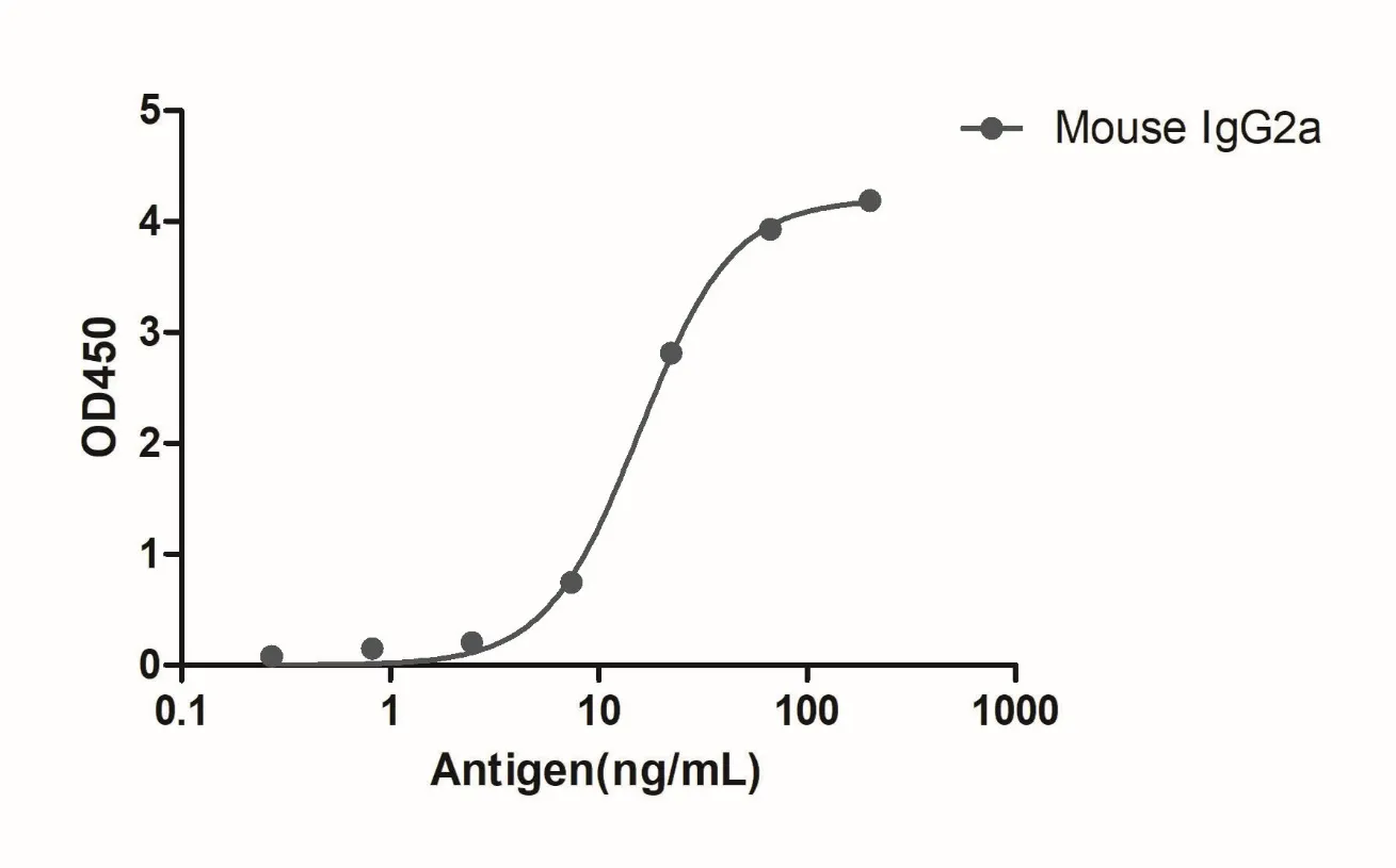 Anti-Mouse IgG2a(Fcγ Fragment specific), AlpSdAbs® VHH(HRP)