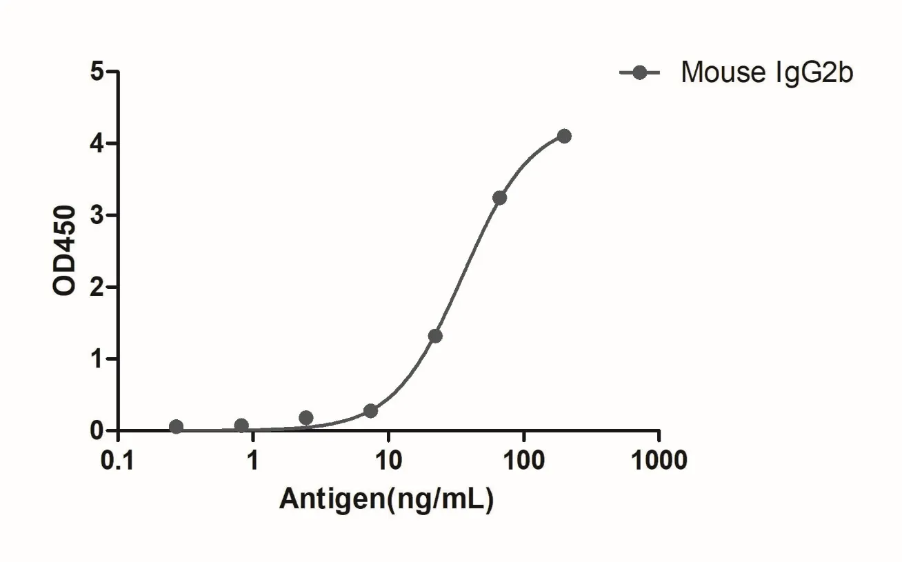 Anti-Mouse IgG2b(Fcγ Fragment specific), AlpSdAbs® VHH(Biotin)