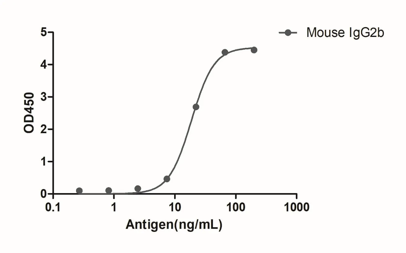 Anti-Mouse IgG2b(Fcγ Fragment specific), AlpSdAbs® VHH(HRP)