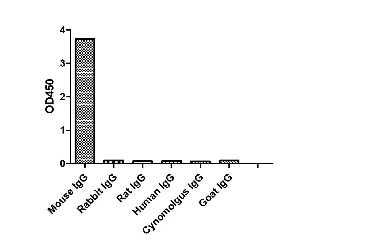 Anti-Mouse IgG3(Fcγ Fragment specific), AlpSdAbs® VHH(Biotin)