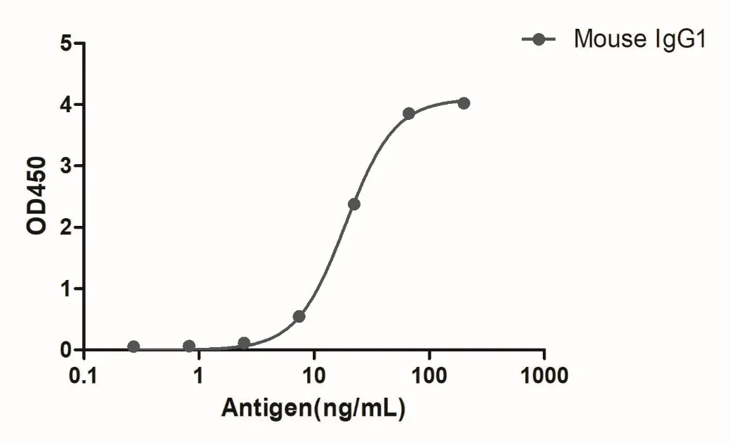Anti-Mouse IgG1(Fcγ Fragment specific), AlpSdAbs® VHH(Biotin)