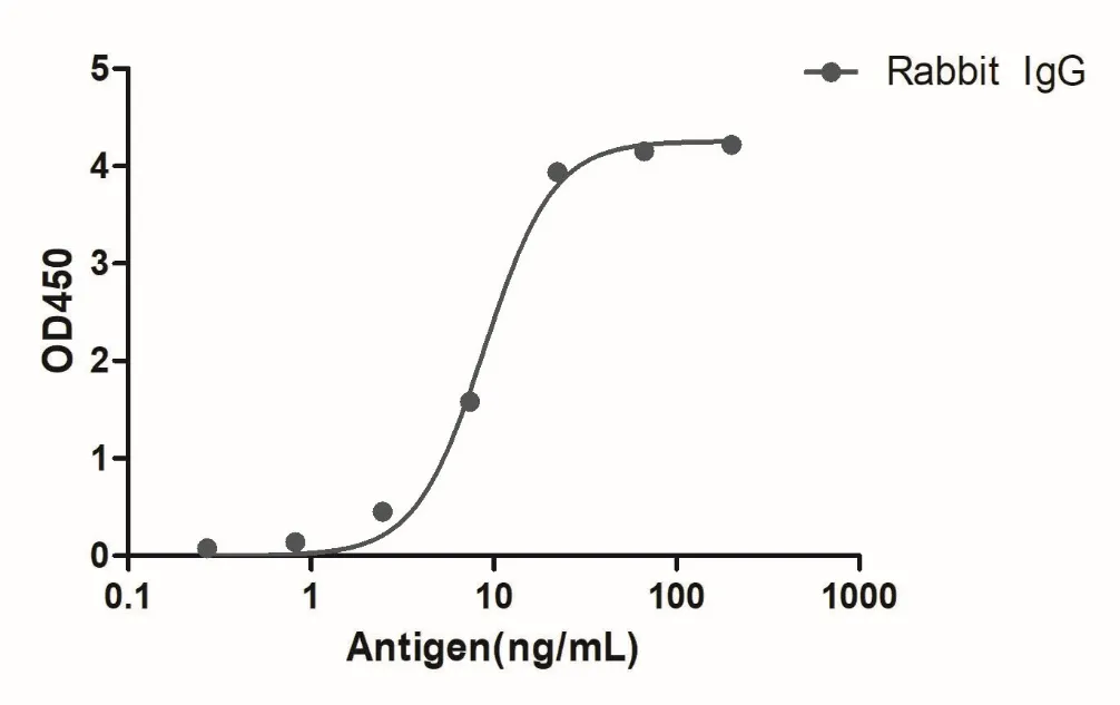Anti-Rabbit IgG(Fcγ Fragment specific), AlpSdAbs® VHH(HRP)