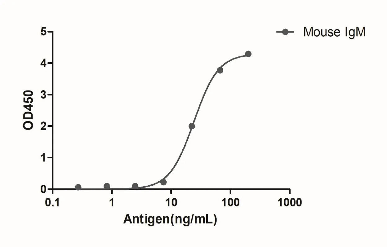 Anti-Mouse IgM(µ chain specific), AlpSdAbs® VHH(Biotin)