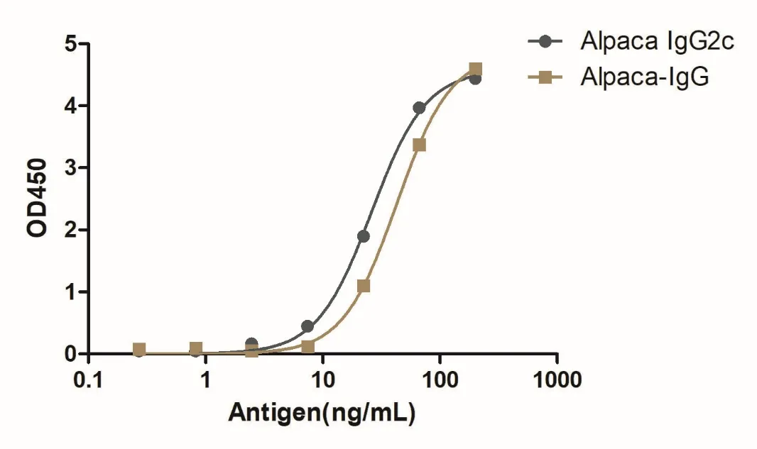 Anti-Alpaca IgG2c(Fcγ Fragment specific), AlpHcAbs® Rabbit antibody (Biotin)