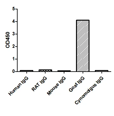 Anti-Goat IgG(Fcγ Fragment specific), AlpHcAbs® Rabbit antibody