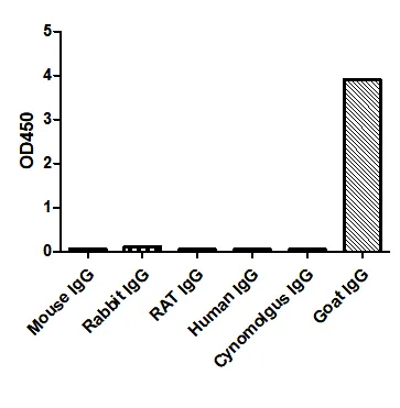 Anti-Goat IgG(Fcγ Fragment specific), AlpHcAbs® Rabbit antibody(Biotin)