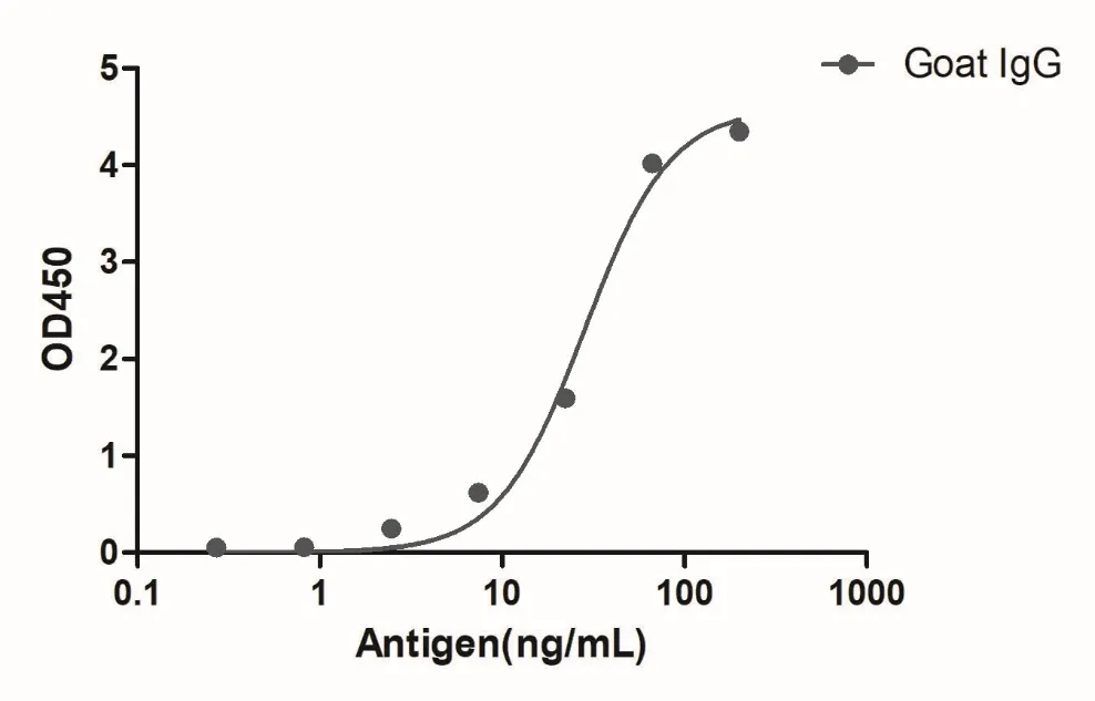 Anti-Goat IgG(Fcγ Fragment specific), AlpHcAbs® Rabbit antibody(Biotin)