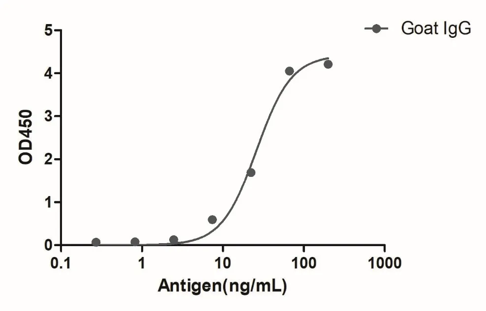 Anti-Goat IgG(Fcγ Fragment specific), AlpHcAbs® Rabbit antibody(HRP)