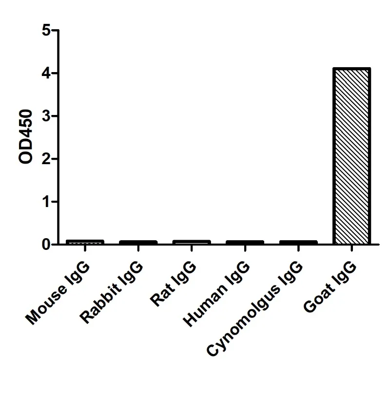 Anti-Goat IgG(Fcγ Fragment specific), AlpHcAbs® Rabbit antibody(HRP)