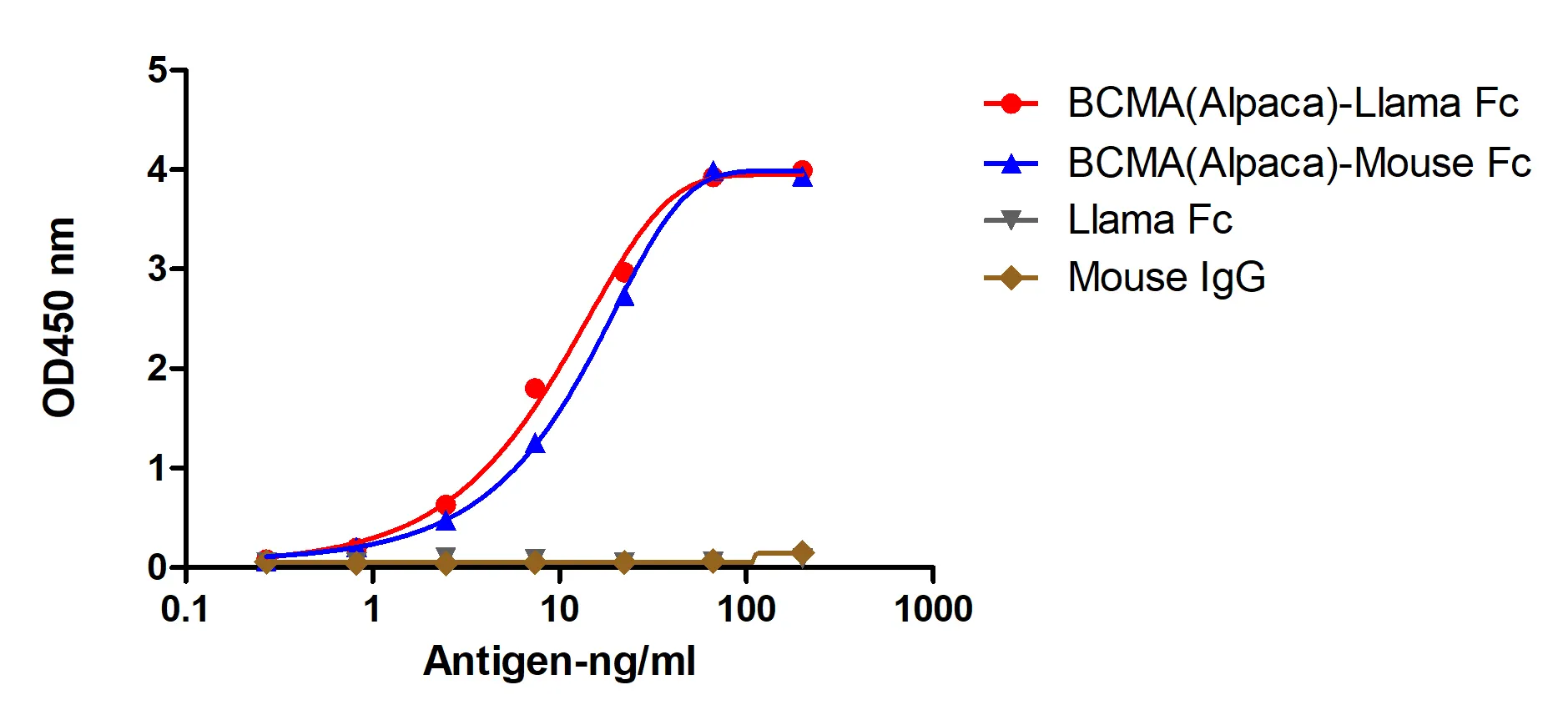 Anti-Alpaca BCMA, AlpHcAbs® Rabbit IgG antibody