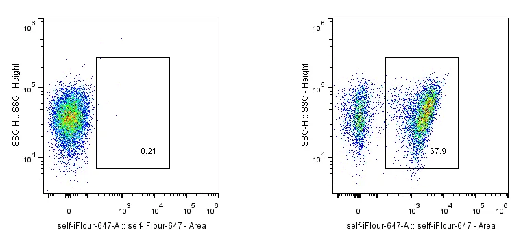 Anti-GGGGS Linker, AlpHcAbs® Rabbit antibody