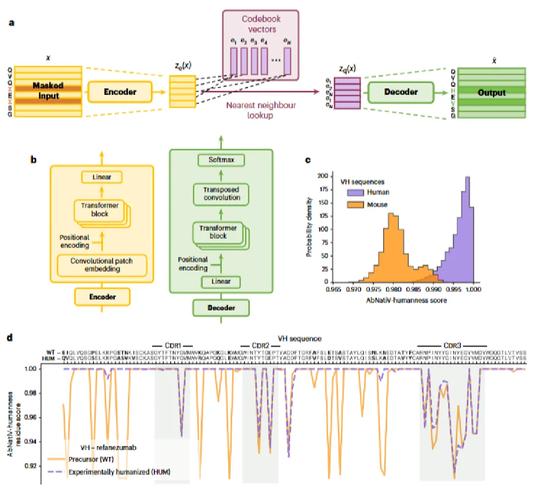 AbNatiV vs OASis and T20: Comparison of Antibody Humanization Scoring Tools