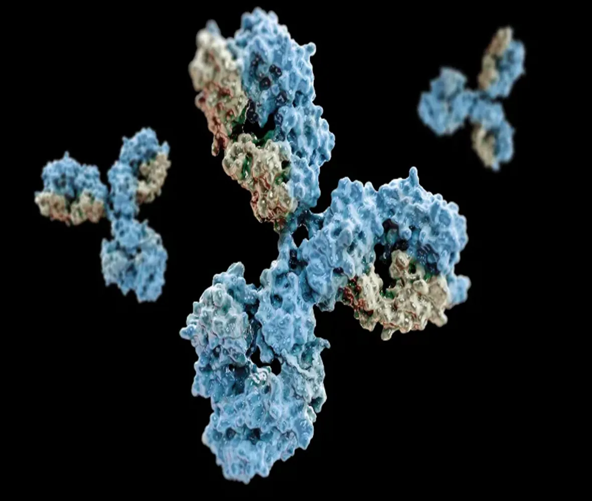 How to Eliminate Heavy and Light Chain Interference in IP/Co-IP: The Power of Nano-Secondary Antibodies
