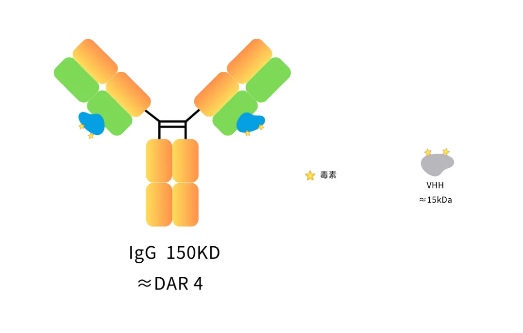 Anti-Mouse IgG kappa chain, AlpSdAbs® VHH(VcExatecan ×4)