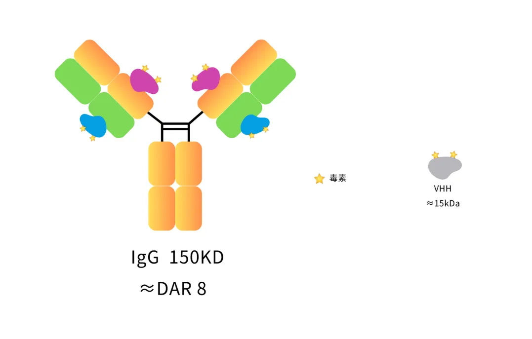 Anti-Human IgG Fab, AlpSdAbs® VHH(VcExatecan ×8)