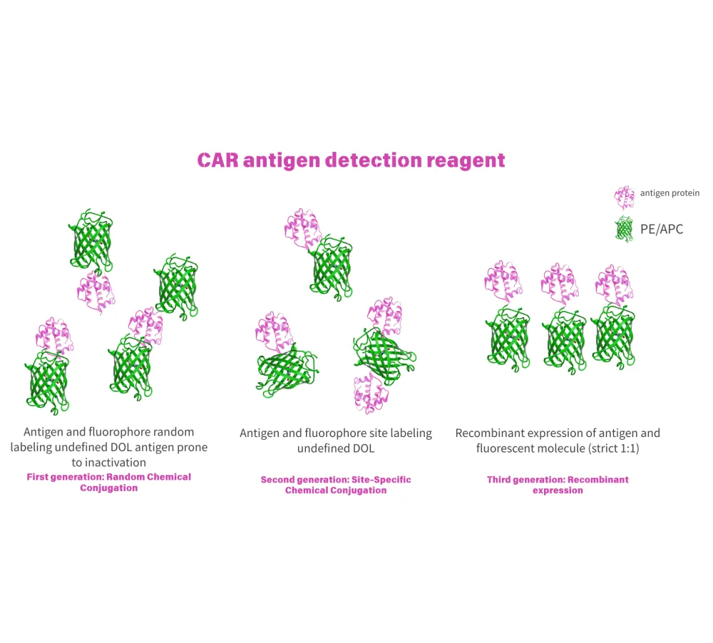 What Makes a Third-Generation CAR-T Detection Kit "New"?