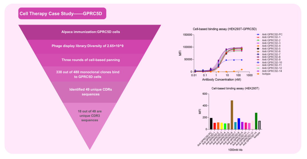 Development of GPCR nanobodies