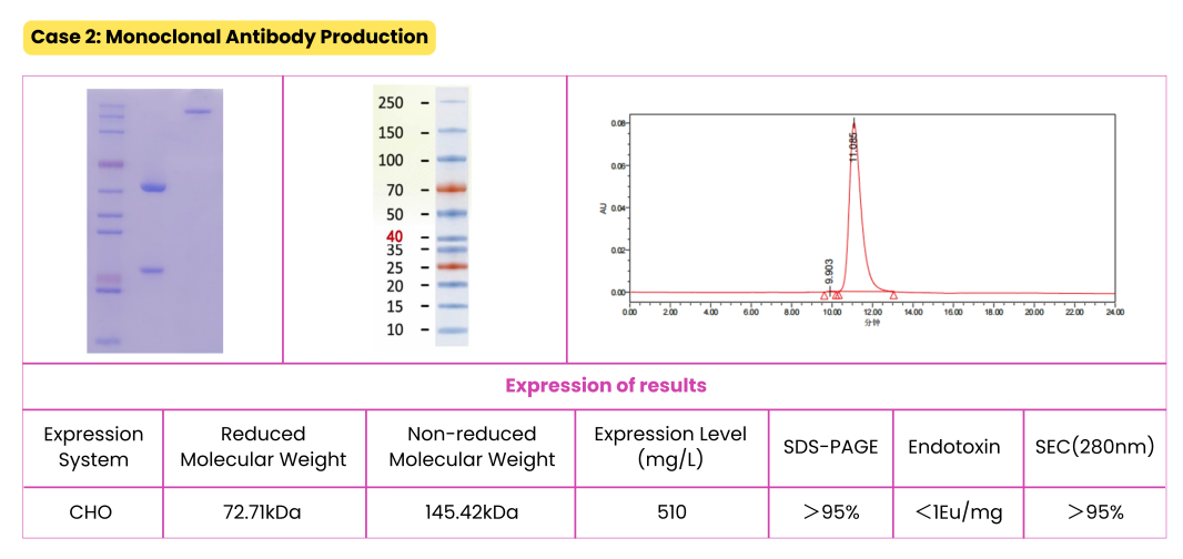 Protein expression platform