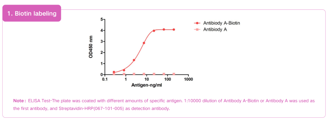 Nano antibody labeling platform